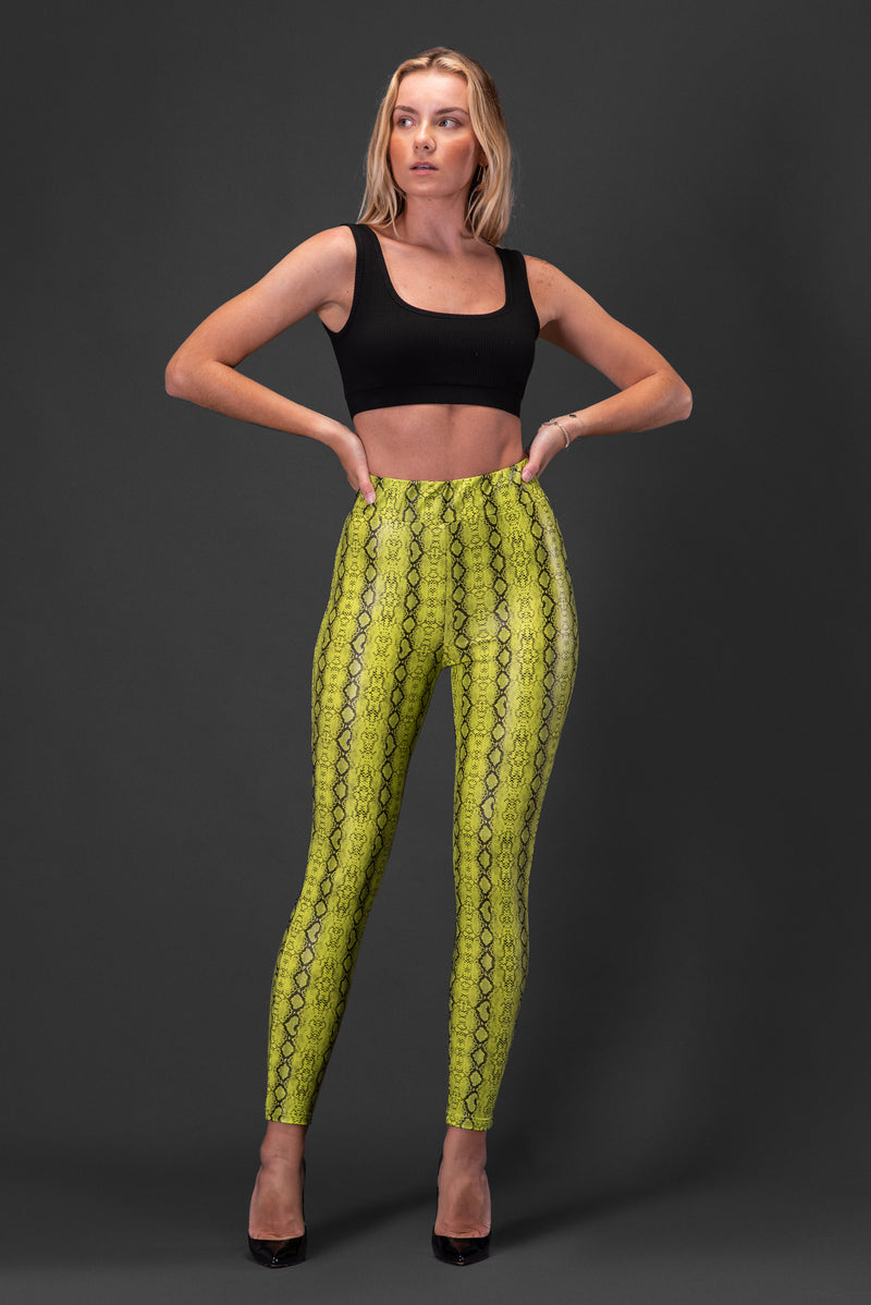 Neon Snake print legging Gisele