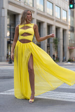 NICHOL DRESS